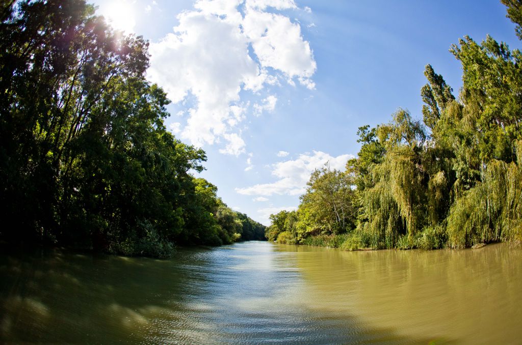 Община Аврен